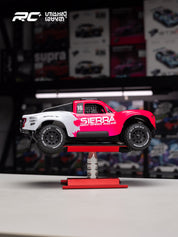 UDIRC SIERRA MINI UD1613PRO 1/16 4WD Brushless RTR ( Pink )