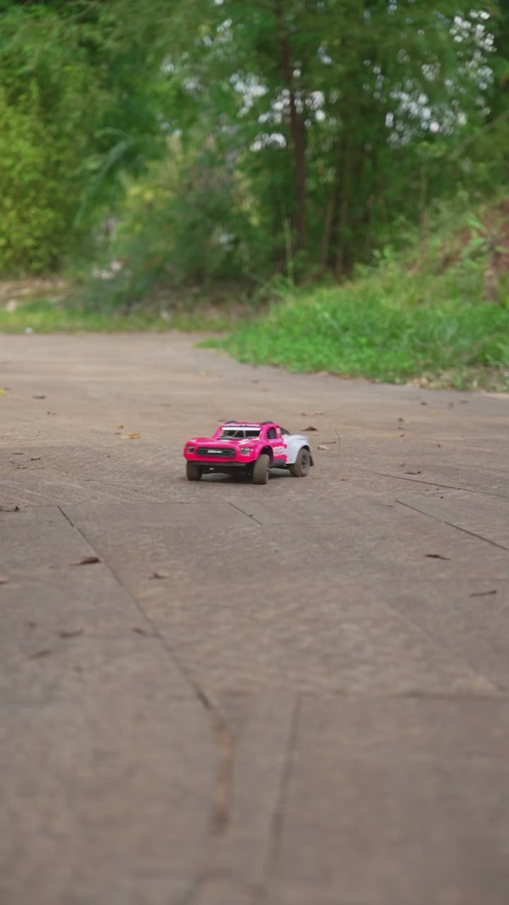UDIRC SIERRA MINI UD1613PRO 1/16 4WD Brushless RTR ( Pink )